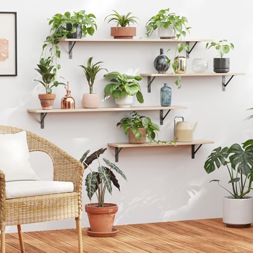 DINZI LVJ Long Wall Shelves, 31.5" Wall Mounted Shelves with Metal Brackets