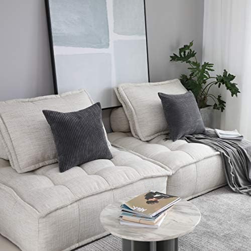 Home Brilliant Throw Pillow Covers 2 Packs Soft Cushion Covers Striped Velvet Throw Pillow Cases for Bed Living Room, 55x55 cm, 22 x 22 Inch, Dark Grey