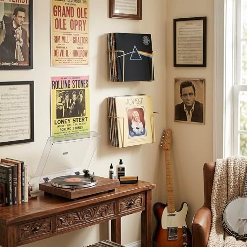 MyGift Brass Metal Wall Mounted Vinyl Record Storage Racks, Set of 2