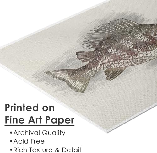 DREAM BIG PRINTABLES Fish Sketches Art Prints (Set of 6) - Unframed - 8x10 | Fishing Wall Decor for Fisherman