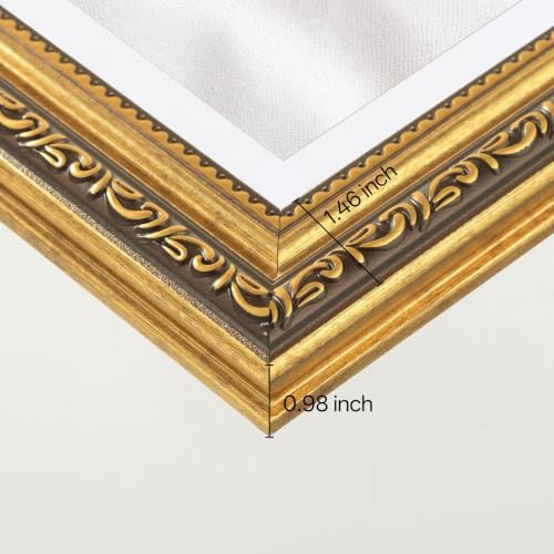 eletecpro 16x20 Picture Frames Set of 2 with Clear Acrylic Cover, Gold