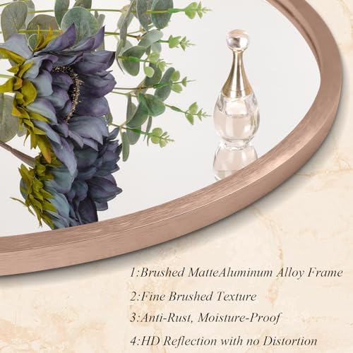 AOAOPQ Rose Gold Wall Mounted Round Mirror with Metal Aluminum Tempered Glass Frame Mirror for Bathroom Bedroom Entryway Living Room Hallway 20 inch