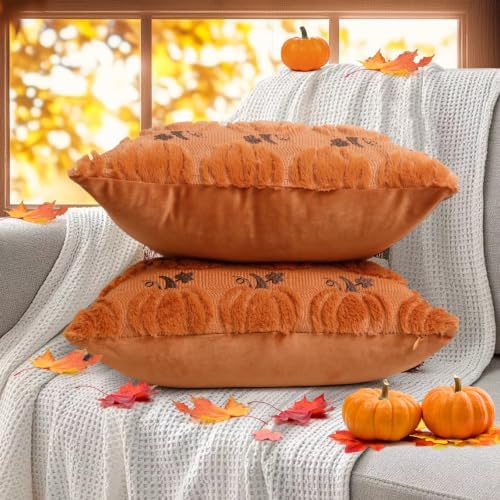 Coddsmz Fall Pumpkin Throw Pillow Covers 18x18 Inches 2PCS Halloween Decor