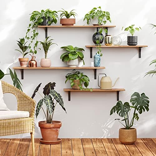 DINZI LVJ Long Wall Shelves, 31.5Inch Wooden Wall Mounted Shelves, Set of 4