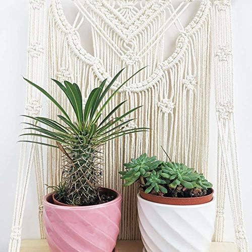 Macrame Wall Hanging Shelf, Wood Hanging Shelf Organizer Hanger, Handmade Cotton Rope Bohomia Woven Home Wall Decor (Flower)