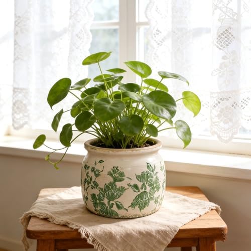 Flower Pots Planters for Indoor Plants Ceramic Plant Pots with Drainage 6.1 Inch Vintage Ceramic Pots for Plants Outdoor Home Garden Decor, Crackled Green Peony