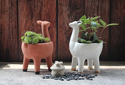 Cute Llama Planter in Terracotta Color for Succulent Cactus Small House Plants 3.25 Inch Indoor Outdoor Planter