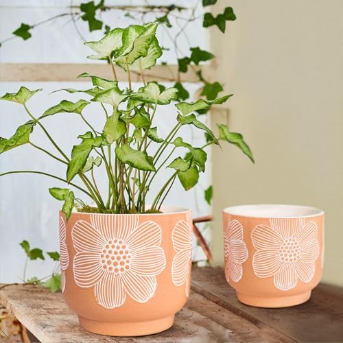 Ceramic Plant Pots, 8+6 Inch, 2 Pcs Indoor Planters with Drainage Holes