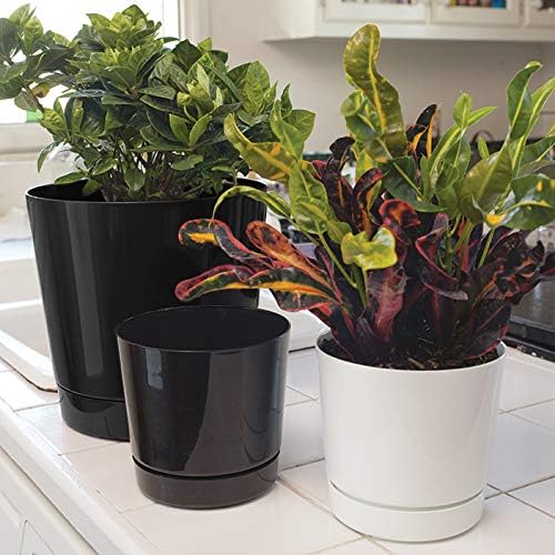Root & Vessel Majestic Full Depth Round Cylinder Pot, Glossy Black, 8-Inch (10088)