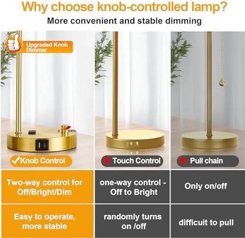 Lynnoland Set of 2 Industrial Table Lamps with USB C+A Ports and Outlet, Gold Fully Stepless Dimmable Bedside Lamps, Nightstand Lamp with Opal Glass Shade for Reading Office (2 LED Bulb)