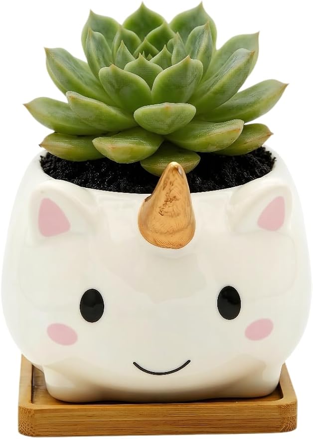 Cuteforyou Succulent Pots,Cute Animal Shaped Cartoon Ceramic Succulent Cactus Flower Planters with Bamboo Tray -Plant Not Included (Elf)