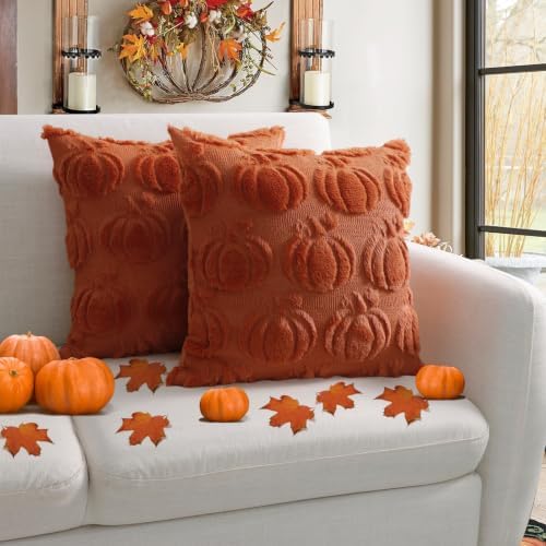 Coddsmz Fall Pumpkin Throw Pillow Covers 18x18 Inches 2PCS Halloween Decor