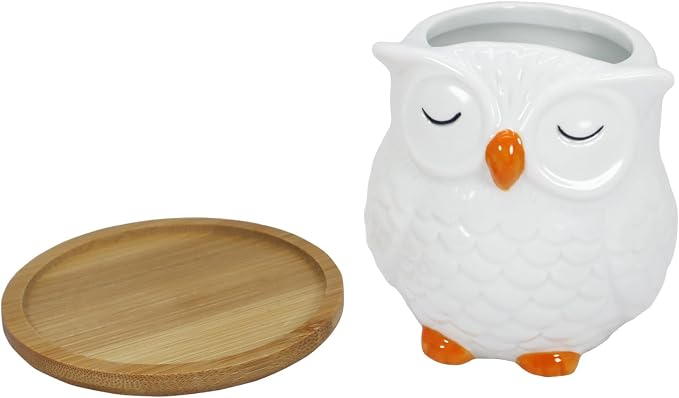 Gemseek Cute White Ceramic Owl Succulent Planter Pot with Drainage Tray