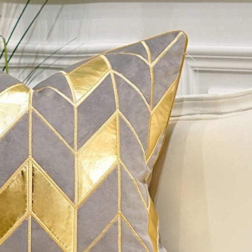 Avigers Throw Pillow Cover 20 x 20 Inch, Grey Gold, Velvet, Hidden Zipper