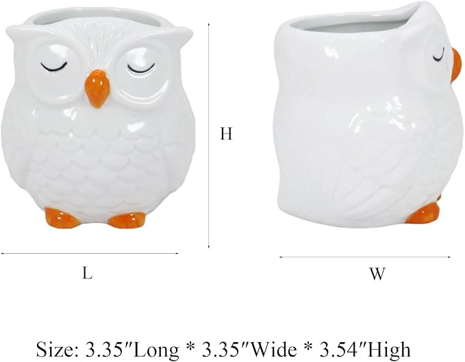 Gemseek Cute White Ceramic Owl Succulent Planter Pot with Drainage Tray