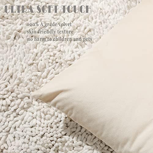 Stellhome Pack of 2 Velvet Pillow Covers Square Decorative Cushion Covers for Bed Couch Sofa Bench, 20 x 20 inch (50 x 50 cm), Cream