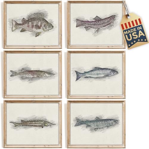 DREAM BIG PRINTABLES Fish Sketches Art Prints (Set of 6) - Unframed - 8x10 | Fishing Wall Decor for Fisherman