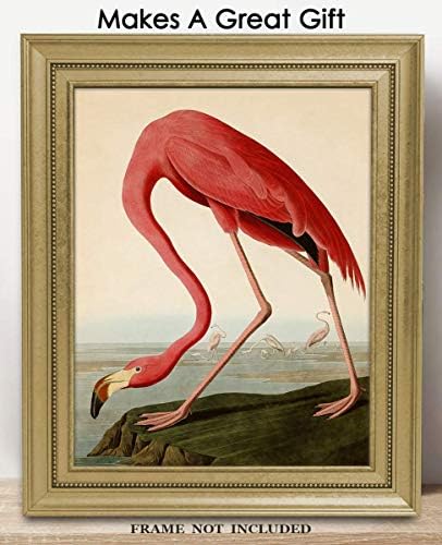Vintage American Pink Flamingo Wall Art Print: 11x14 Unframed Bird Wall Decor Poster for Home, Office, Dorm, Farmhouse, Bedroom & Living Room - Creative Housewarming Idea for Bird & Nature Lovers