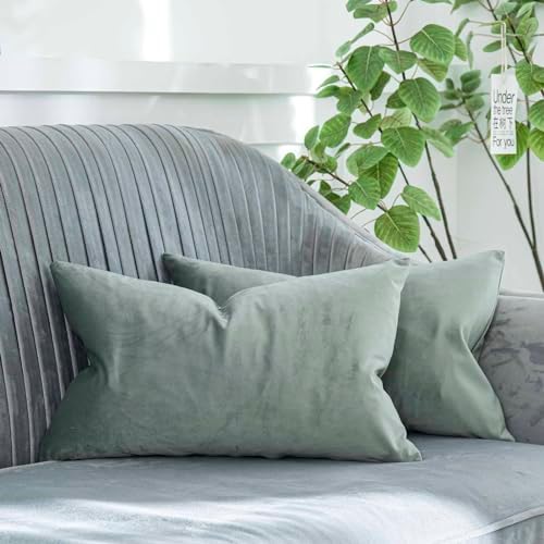 Eucalyptus Decorative Lumbar Velvet Throw Pillow Covers 12x20 inch Set of 2 with Zipper Luxury Soft Solid Rectangle Cushion Covers Case for Sofa Couch Bed Living Room