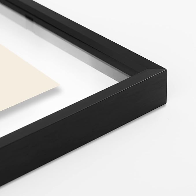 Golden State Art 7 Pack Aluminum Floating Frames Included 5x7 8x10 11x14 | Black, One 11x14 Two 8x10 Four 5x7 Frames, Wall Mount Display, Fit for Pictures, Pressed Flowers Any Size up to Frame Size