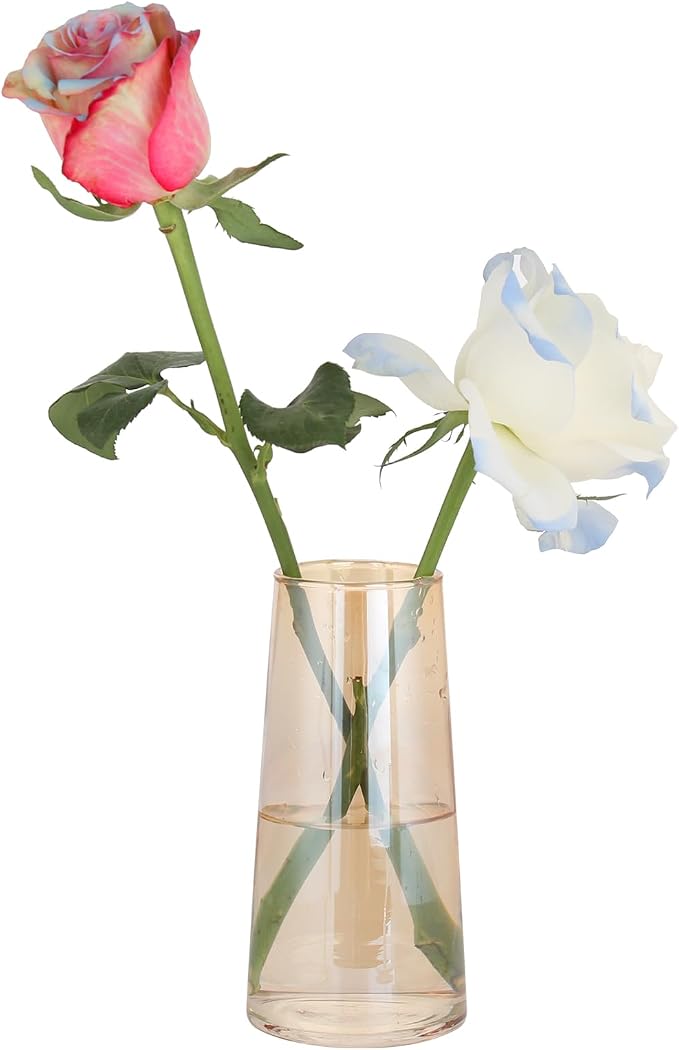 Amber Glass Vase for Flowers-6 Inch Clear Glass Flower Vases for Centerpiece，Ins Modern Boho Style Vase for Wedding Housewarming Gift(Amber, Small)