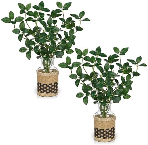 2Pcs Artificial Ficus Stems in Glass Vase with Faux Water and Woven Basket 11" Fake Greenery Plant Ficus Twig Leaves for Home Office Farmhouse Bathroom Bedroom Kitchen Table Centerpiece Decor