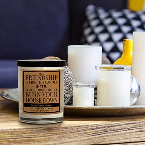 CEDAR CRATE MARKET Our Friendship is Like This Candle, Lavender Scented 100% Soy