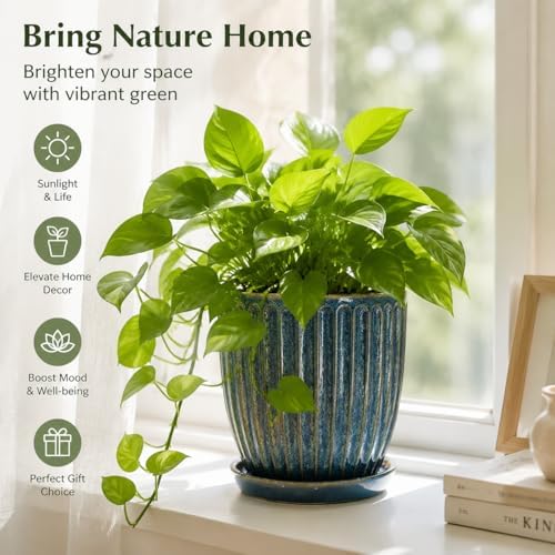 6-Inch Ceramic Plant Pots with Drainage Hole, Modern Flower Pots