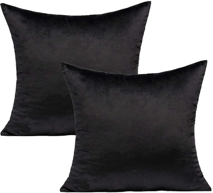 Velvet Throw Pillow Covers 16x16 Black Decorative Couch Cushion Cases Pillowcases Soft Solid Warm Cozy Square Home Decor for Sofa Chair Bedroom Car Set of 2 pieces, 16"x16