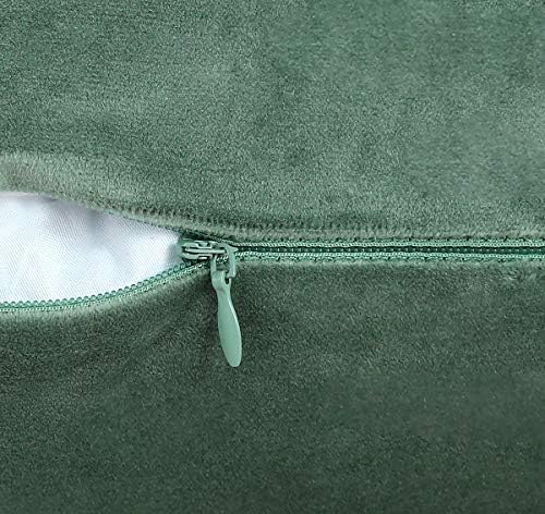 Jeneoo Set of 2 Comfy Soft Velvet Throw Pillow Covers for Sofa Couch Decorative Square Cushion Cases for Bedroom Car (20 x 20 Inches, Sage Green)