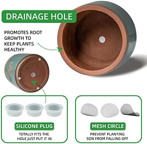 Terracotta Pots, 8+6+4 Inch Plant Pots, 3 Pcs with Drainage Holes
