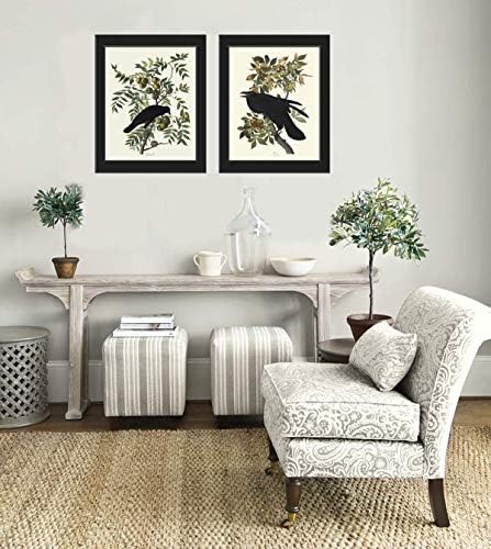 Crow and Raven James Audubon Wall Art Print Set of 2 Prints Beautiful Birds Home Decor LoveThePrint Unframed
