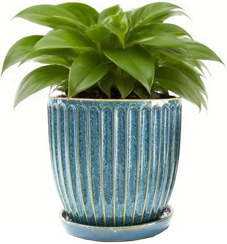 6-Inch Ceramic Plant Pots with Drainage Hole, Modern Flower Pots