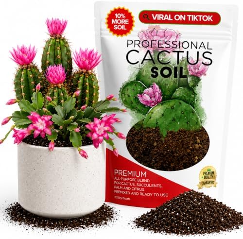 Leaves & Soul Cactus Soil Potting Mix 2.2 Qt for Cactus & Succulent Plants