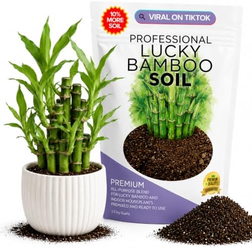 Leaves & Soul Lucky Bamboo Potting Soil 2.2 Qt for Lucky Bamboo Plant
