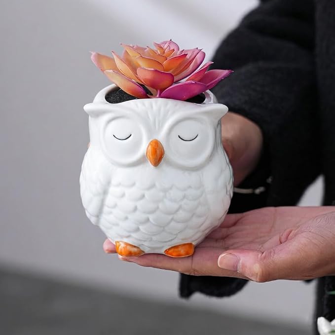 Gemseek Cute White Ceramic Owl Succulent Planter Pot with Drainage Tray