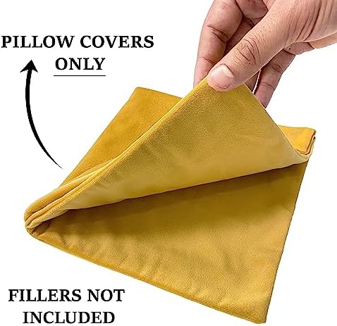 RELY+ Pack of 2 Throw Pillow Covers 18x18 Inch Velvet Soft Cozy Solid Decoration Gifts Pillow Covers Luxury Cushion Case for Sofa Couch Bedroom Living Room (Gold, 18 X 18)