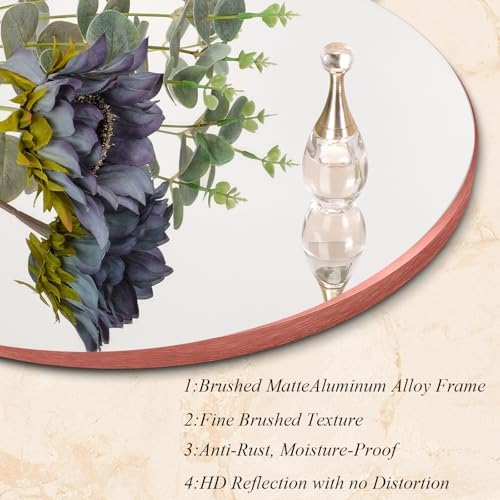 AOAOPQ Aluminum Tempered Glass Framed Bathroom for Wall Mounted Round Vanity Hanging Mirror for Bathroom Bedroom 16 inch Red Mirror