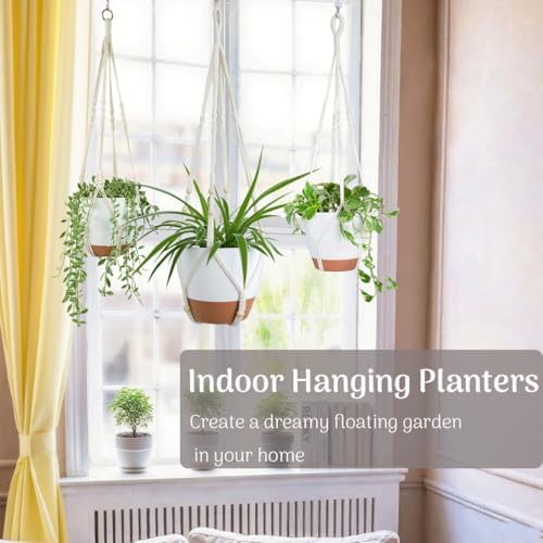 3 Pack Self Watering Hanging Planters for Indoor Plants Large 10/8/7 Inch