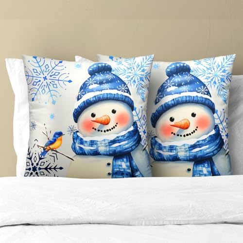 Winter Snowman Throw Pillow Covers 20x20 inch Set of 2 Christma Snowman Blue Snowflakes Bird Decorative Pillowcase Xmas Holiday Cushion Cover for Home Sofa Patio