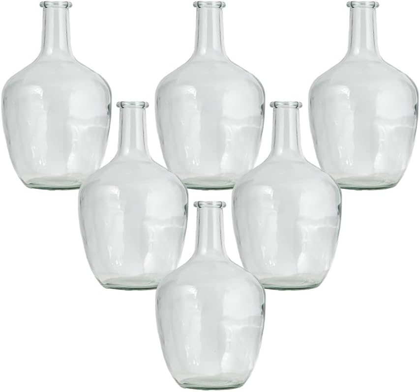 Serene Spaces Living Clear/Brown Tall Vase, Bottle Glass Vase, Elegant Home Decor for Fresh or Dried Flowers, Perfect for Living Rooms, Dining Areas, and Centerpieces (Extra Small, Set of 6 - Clear)