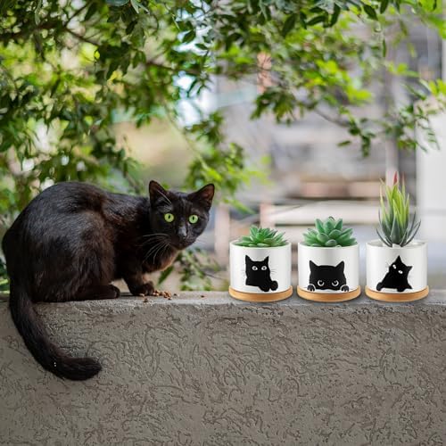 Honeydak Funny Succulent Black Cat Plant Pots 3.15 Inch Ceramic Flower Pots With Bamboo Tray, Drainage Hole - Cute Birthday Gifts for Women, Housewarming Gift