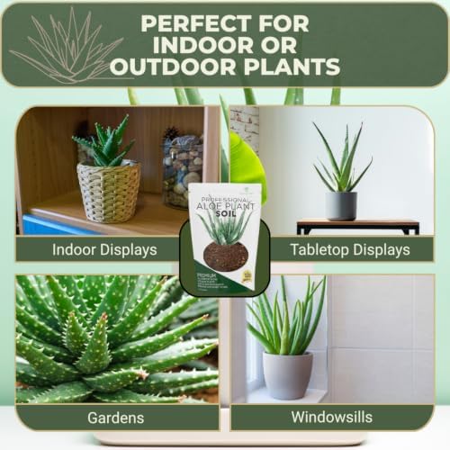 Professional Aloe Plant Soil Mix 2.2 Qt Potting Soil for Aloe Vera Plants