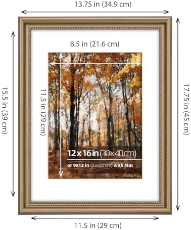 12x16 in 2PK Wood Classic Poster Picture Frame, Ornate Beaded Inner, Matted for 9x12 Photo, Wall Mount Display Vertically or Horizontally, Plexiglass Cover, Champagne Brass