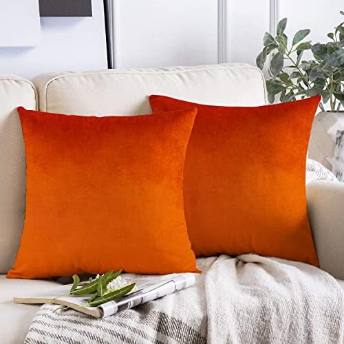 VAKADO 16x16 Set of 2 Burnt Orange Fall Throw Pillow Covers Decorative Thanksgiving Decor Autumn Rust Velvet Outdoor Couch Decorative Cushion Cases Home Decoration for Porch Patio Sofa Bedroom Car
