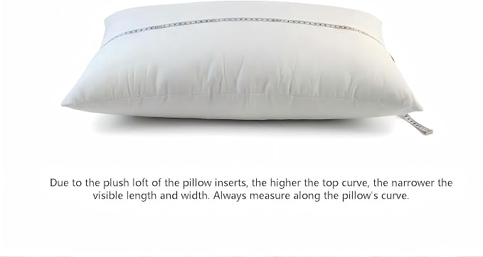 14x22 Lumbar Pillow Inserts 2-Pack for Sofa, Polyester Fill | 100% virgin fiber; Soft and fluffy; Maintains fullness; Low allergen; For accent chairs and lumbar support