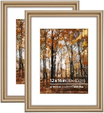 12x16 in 2PK Wood Classic Poster Picture Frame, Ornate Beaded Inner, Matted for 9x12 Photo, Wall Mount Display Vertically or Horizontally, Plexiglass Cover, Champagne Brass