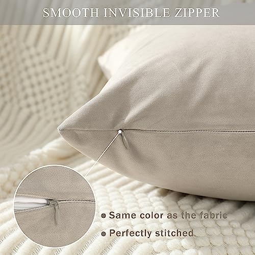 Stellhome Pack of 2, Soft Velvet Throw Pillow Covers Square Decorative Cushion Covers, Home Decor Decorations for Sofa Couch Bed Chair, 22 x 22 Inch/55 x 55 cm, Silver Gray
