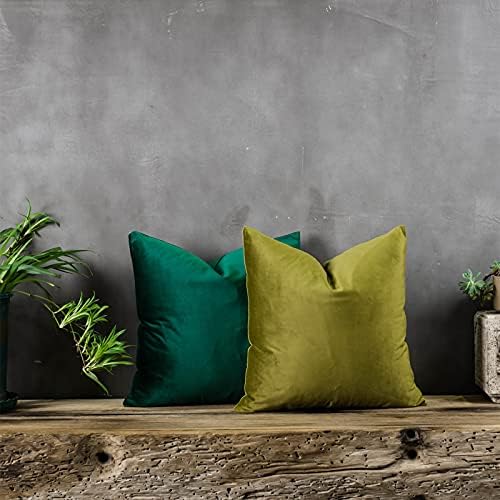 Dark Green Couch Velvet Throw Pillow Covers 18x18 inch Set of 2 with Zipper Decorative Luxury Soft Solid Rectangle Cushion Covers Case for Sofa Bed Living Room Car