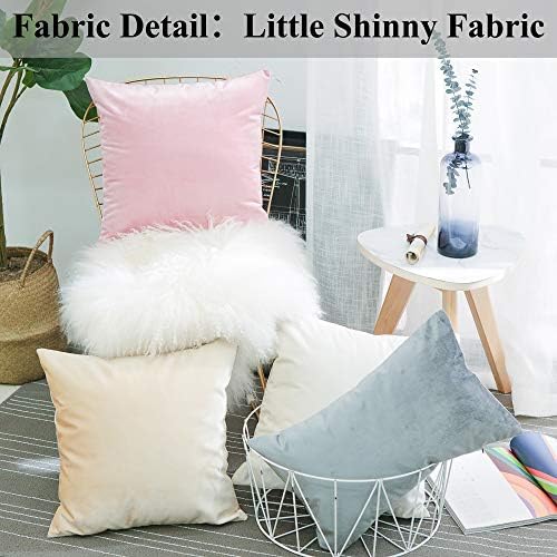 Home Brilliant Rectangle Pillow Cover Cream Throw Pillows for Couch Velvet Decorative Pillow Covers for Living Room Sofa Bed, Set of 2, 12 x 20 Inch (30x50cm), Beige